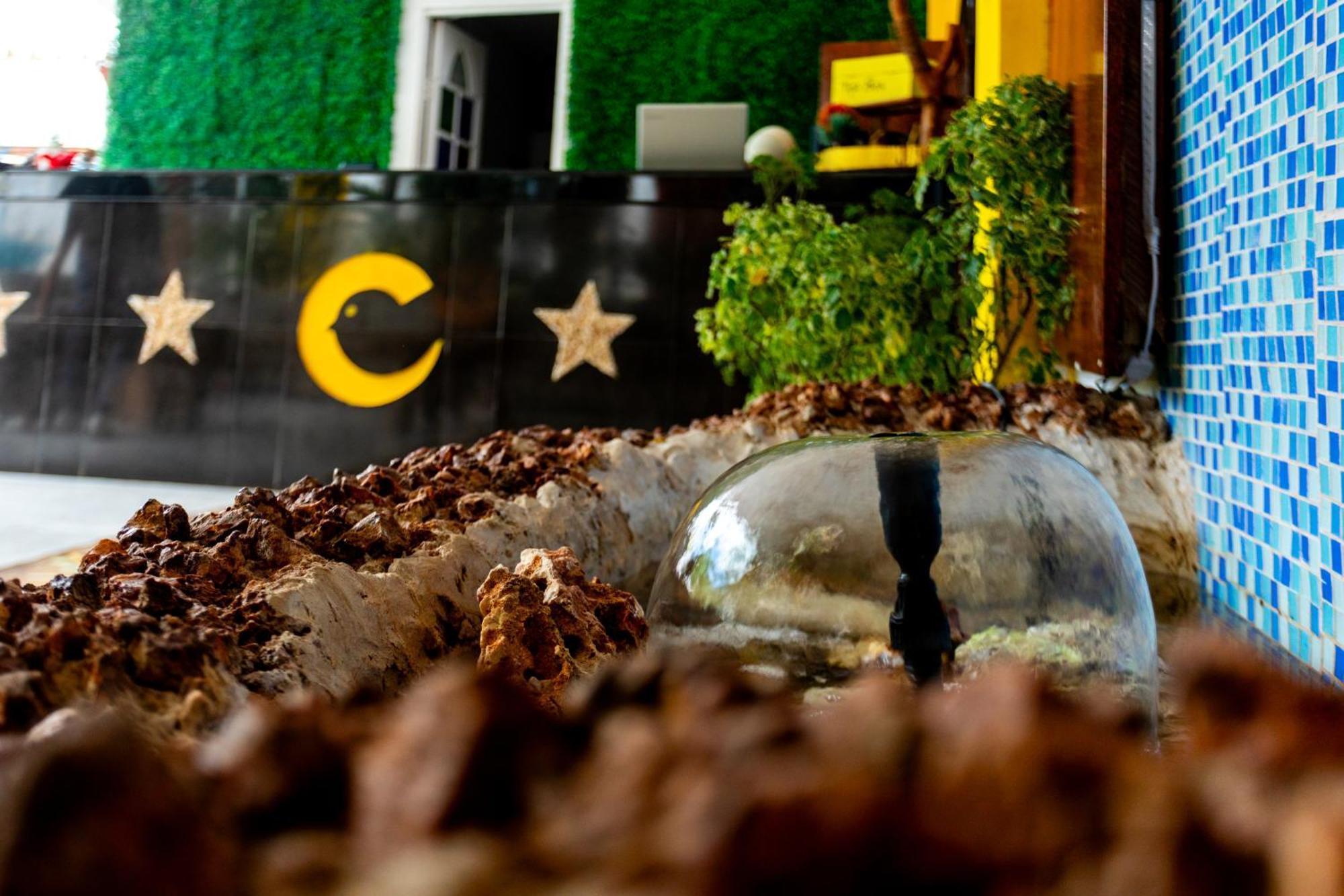 Canary Nungwi Hotel & Spa Ngoại thất bức ảnh
